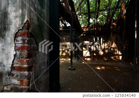 My beloved Taiwan (The bright sunlight shines into the abandoned brick warehouse.) Anping Tree House, Tainan City 125834140