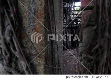 愛台灣(廢墟之外的另一個空間,被樹吃掉的房間,就是台南市安平樹屋!) 愛台灣(廢墟之外的另一個空間,被樹吃掉的房間,就是台南市安平樹屋!) 125834144