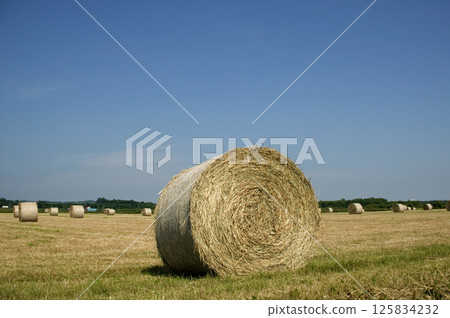 十勝草卷 十勝草卷 125834232