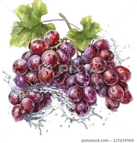 A lively watercolor representation of a grape cluster, with droplets 125834569