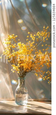 Sunny Yellow Mimosa Flowers in Glass Vase Indoors Sunny Yellow Mimosa Flowers in Glass Vase Indoors 125834664
