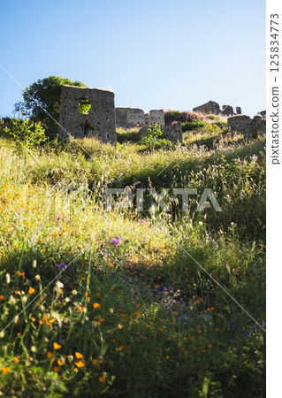 abandoned village on the flowery hill abandoned village on the flowery hill 125834773