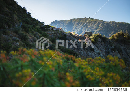 glimpse of sun kissed mountain 125834786