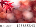 Autumn leaves and light balls 125835343