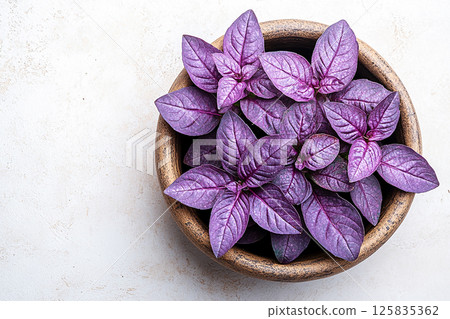 Basil plant with lush purple leaves on a white background. Herb bush in ceramic pot. Top view Basil plant with lush purple leaves on a white background. Herb bush in ceramic pot. Top view 125835362