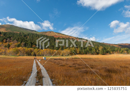 Burning autumn Oze colored with colored leaves Burning autumn Oze colored with colored leaves 125835751