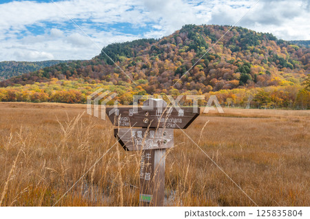 Burning autumn Oze colored with colored leaves 125835804