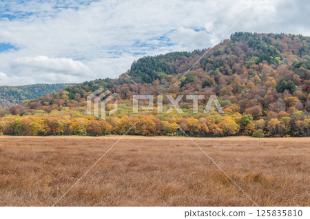 Burning autumn Oze colored with colored leaves Burning autumn Oze colored with colored leaves 125835810