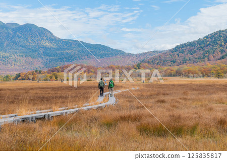 Burning autumn Oze colored with colored leaves 125835817