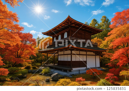 Autumn leaves of maple trees at Ginkakuji Temple, Kyoto Autumn leaves of maple trees at Ginkakuji Temple, Kyoto 125835831