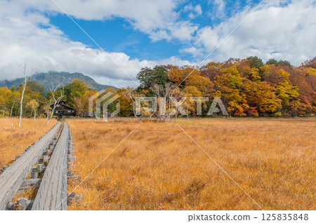 Burning autumn Oze colored with colored leaves Burning autumn Oze colored with colored leaves 125835848