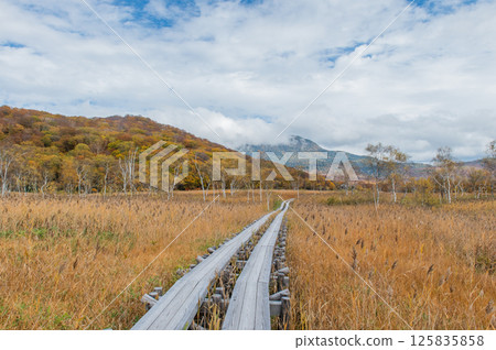 Burning autumn Oze colored with colored leaves Burning autumn Oze colored with colored leaves 125835858