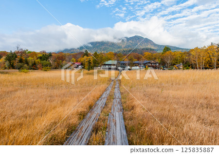 Burning autumn Oze colored with colored leaves 125835887
