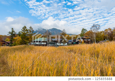 Burning autumn Oze colored with colored leaves 125835888