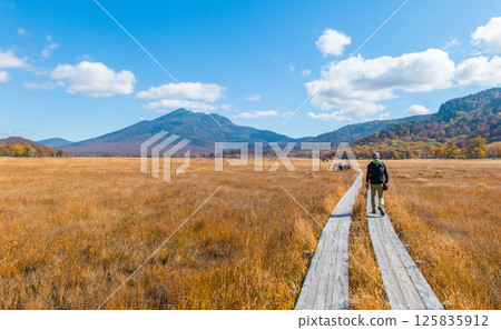 用紅葉著色的燃燒的秋天尾瀨 用紅葉著色的燃燒的秋天尾瀨 125835912