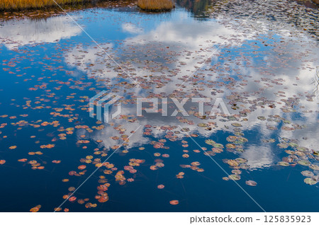 用紅葉著色的燃燒的秋天尾瀨 125835923