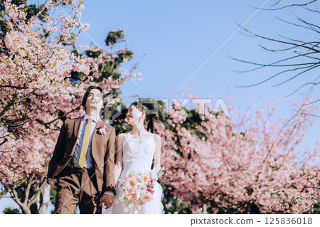 Cherry blossoms and pre-wedding photo shoot Cherry blossoms and pre-wedding photo shoot 125836018