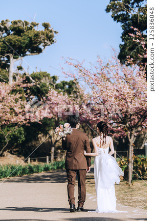 Cherry blossoms and pre-wedding photo shoot Cherry blossoms and pre-wedding photo shoot 125836048