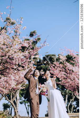 Cherry blossoms and pre-wedding photo shoot Cherry blossoms and pre-wedding photo shoot 125836096