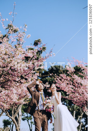 Cherry blossoms and pre-wedding photo shoot Cherry blossoms and pre-wedding photo shoot 125836097
