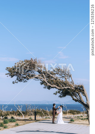 A young couple taking pre-wedding photos at Jogashima 125836216