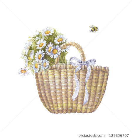 hand-drawn wicker basket with a lace bow and a bouquet of daisies. A watercolor illustration with a small bumblebee is isolated on a white background. Picnic. Country vibe. Gardening. 125836797