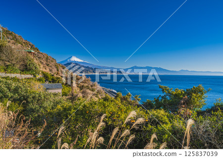Mount Fuji as seen from Satta Pass in Shizuoka City (Shizuoka Prefecture) Mount Fuji as seen from Satta Pass in Shizuoka City (Shizuoka Prefecture) 125837039