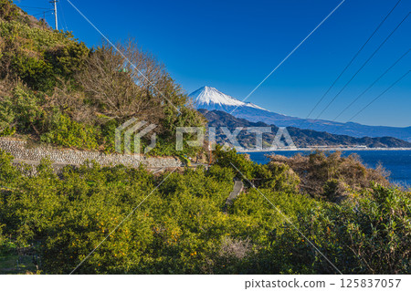 Mount Fuji as seen from Satta Pass in Shizuoka City (Shizuoka Prefecture) Mount Fuji as seen from Satta Pass in Shizuoka City (Shizuoka Prefecture) 125837057