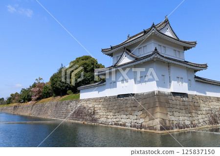 Spring in Kyoto: Nijo Castle, Southeast Corner Tower (Nakagyo Ward, Kyoto City, Kyoto Prefecture) Spring in Kyoto: Nijo Castle, Southeast Corner Tower (Nakagyo Ward, Kyoto City, Kyoto Prefecture) 125837150