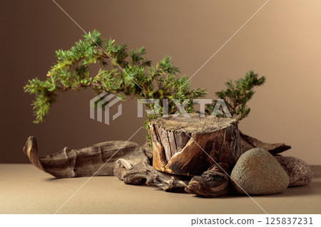 Composition with natural wooden snags, stones and juniper branches. Composition with natural wooden snags, stones and juniper branches. 125837231