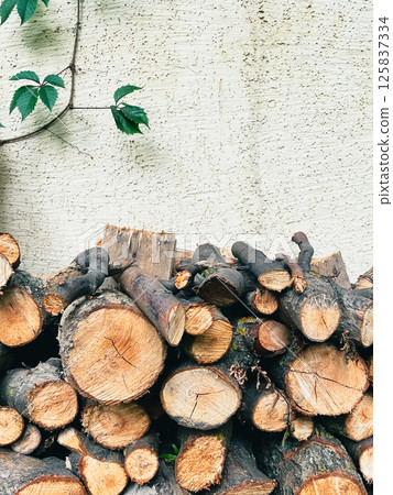 The theme of forest degradation and deforestation. Photo of tree firewood. 125837334