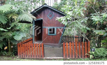 Quaint Wooden Cabin with Green Trim Surrounded by Lush Vegetation in a Tranquil Forest Setting Quaint Wooden Cabin with Green Trim Surrounded by Lush Vegetation in a Tranquil Forest Setting 125839175