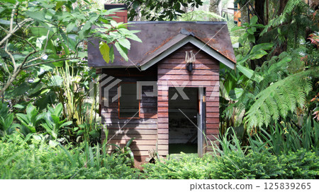 Charming miniature wooden house surrounded by lush green plants in a serene garden setting on a sunny day 125839265