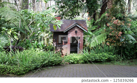 Charming miniature wooden house surrounded by lush green plants in a serene garden setting on a sunny day Charming miniature wooden house surrounded by lush green plants in a serene garden setting on a sunny day 125839266