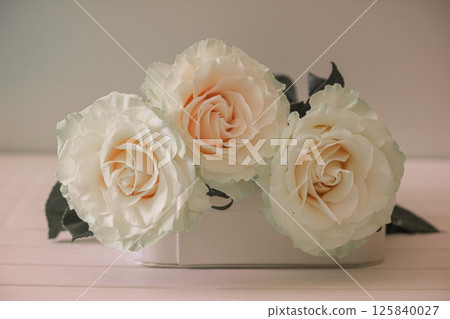 Delicate flowers of white roses, close-up. Delicate flowers of white roses, close-up. 125840027