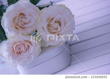 Gentle roses in macro shooting. Gentle roses in macro shooting. 125840041