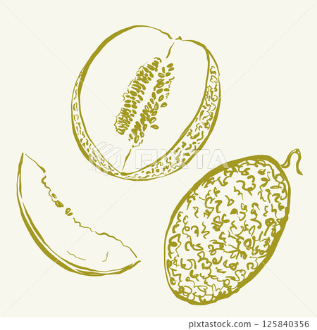 Vector fruit doodle illustration of melon. Hand-drawn garden harvest sketch. Organic farm graphics. Tasty food for design, veggie market drawing print, fabric or background. Vector fruit doodle illustration of melon. Hand-drawn garden harvest sketch. Organic farm graphics. Tasty food for design, veggie market drawing print, fabric or background. 125840356