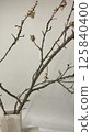 Natures Elegance This is a Stunning Minimalist Branch Display for Every Indoor Space 125840400