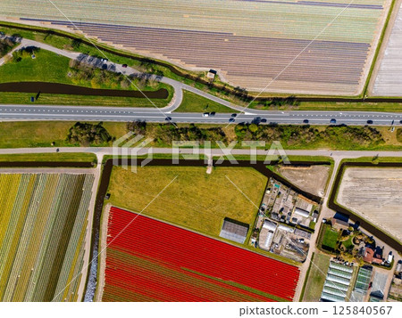 Aerial view of vibrant tulip fields in full bloom, displaying colorful rows of flowers in a rural landscape, with nearby roads, farms, and a distant town under a clear blue sky. Aerial view of vibrant tulip fields in full bloom, displaying colorful rows of flowers in a rural landscape, with nearby roads, farms, and a distant town under a clear blue sky. 125840567