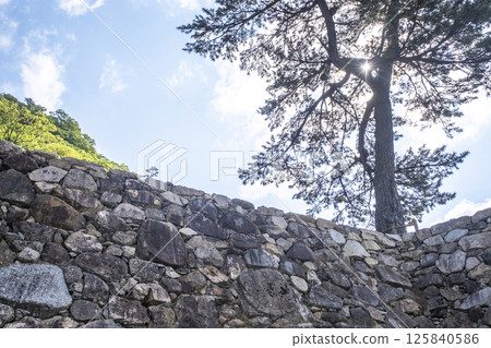 Tottori Castle in fresh green 125840586