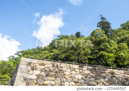 Fresh greenery at Tottori Castle ruins 125840587
