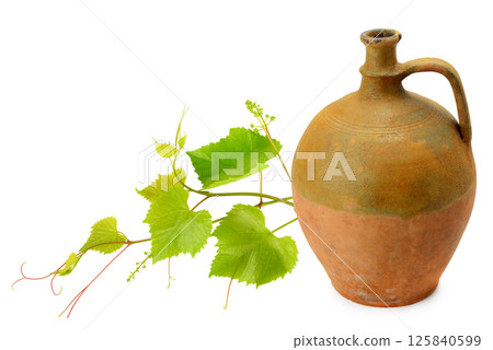 Vintage clay amphora for wine and green grape vine isolated on white background. 125840599
