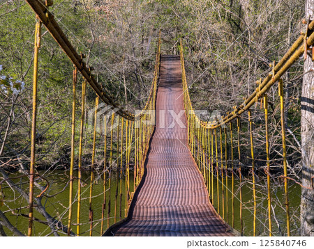 metal suspension bridge over the river 125840746