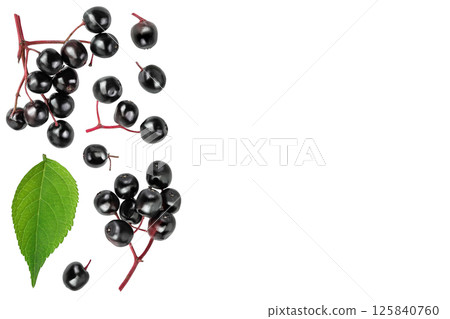 Ripe black elderberry or elder isolated on a white background. Sambucus. Top view with copy space for your text. . Flat lay 125840760