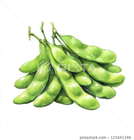 Vibrant green edamame watercolor painting showcasing freshness 125841198