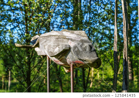 Asia garden in the World Forest, Weltwald in Freising near Munich in Bavaria, Germany. 125841435
