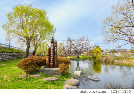 Azumino Wasabi Field Spring Water Park [Spring] 125841590