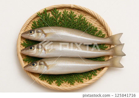 Freshly caught kisu (salmon) in a basket 125841716