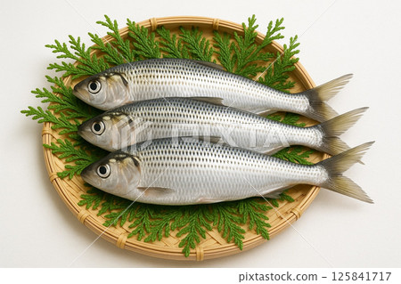 Freshly picked gizzard shad in a colander 125841717