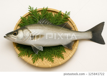 Freshly caught Japanese sea bass in a basket 125841722
